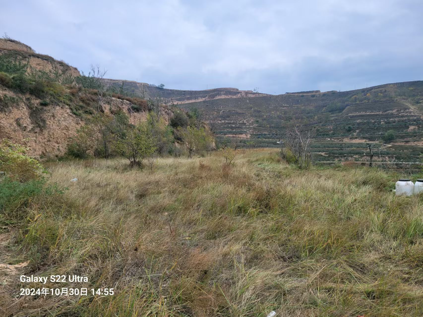 WechatIMG840.jpeg WechatIMG840.jpeg