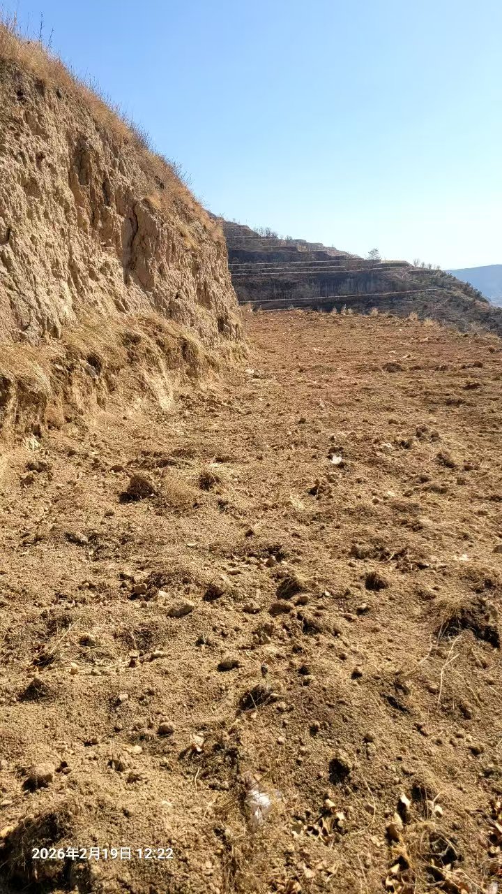 WechatIMG1054.jpeg WechatIMG1054.jpeg